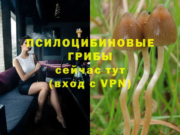 гидра Зеленодольск