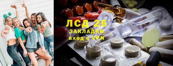 гидра Зеленодольск