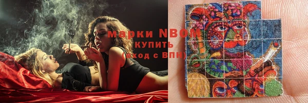 гидра Зеленодольск